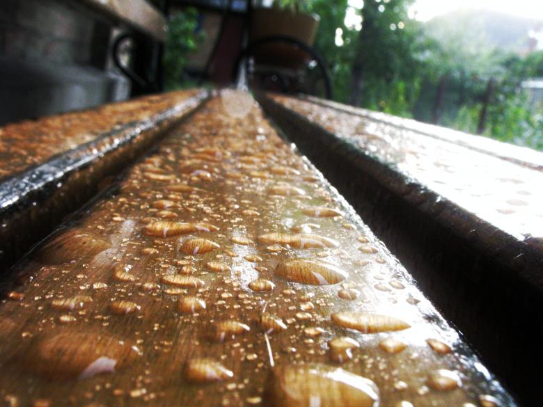 Free stock image of After a Rain created by Kateryna Nemchenko