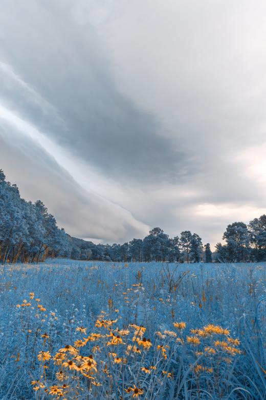Free stock image of Blue Brewing Storm created by Nicolas Raymond