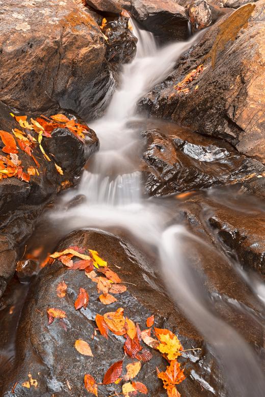 Free stock image of Autumn Fossil Stream created by Nicolas Raymond