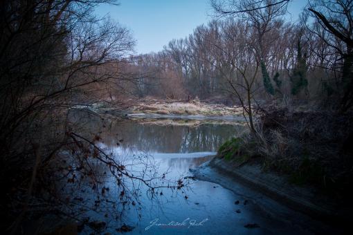 Winter by the River