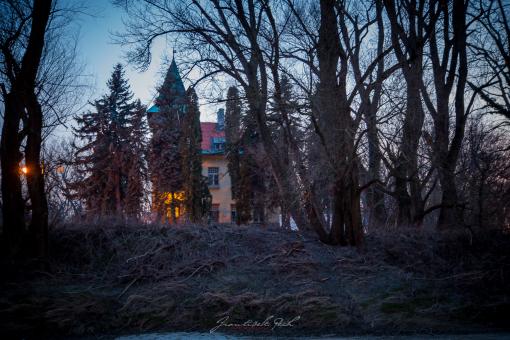 Winter Mansion