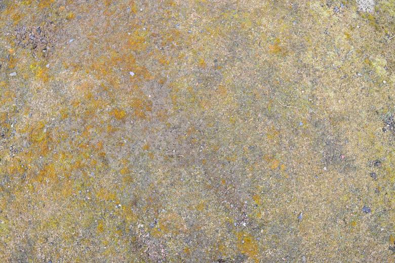 Free stock image of Mossy Ground Texture created by ValérianTextureInComing