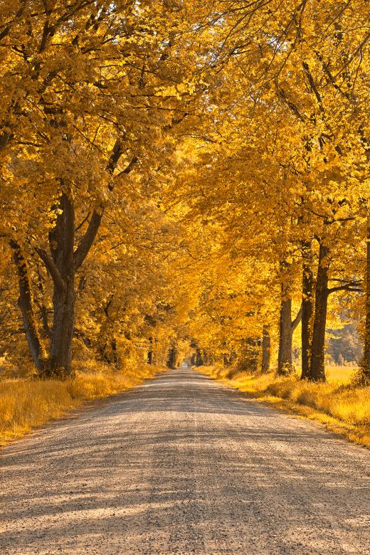 Free stock image of Golden Wye Island Road created by Nicolas Raymond