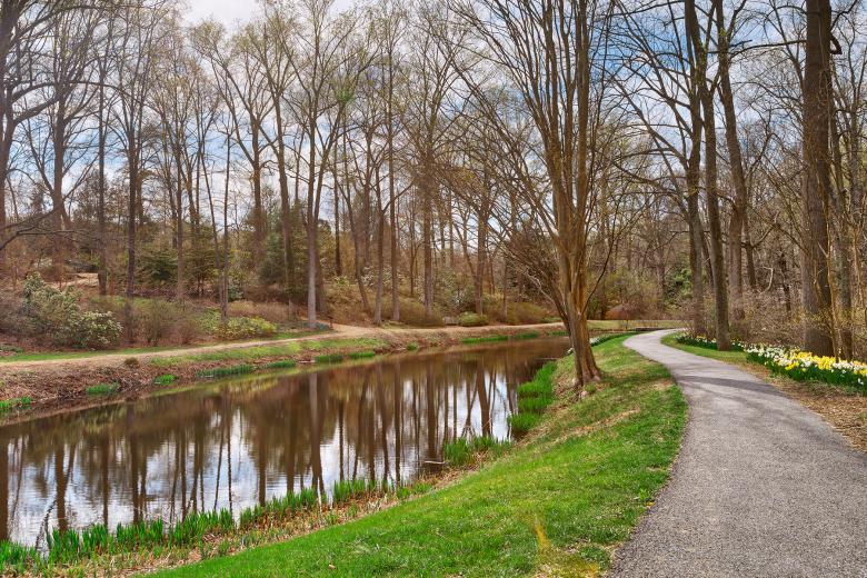 Free stock image of Winding Brookside Trail created by Nicolas Raymond
