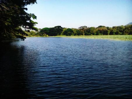 Free Stock Photo of Lake Landscape