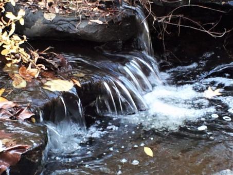 Small Water Stream - Free Stock Photo