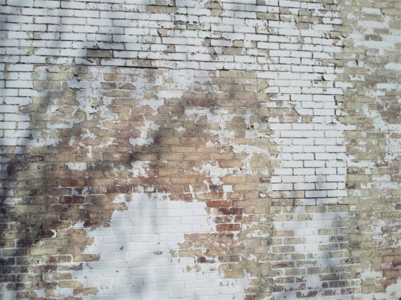 Free stock image of White Washed Brick Wall created by Brenda Bassett