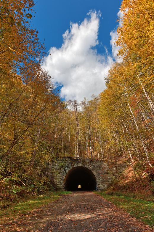 Free stock image of Forest Tunnel to Nowhere created by Nicolas Raymond