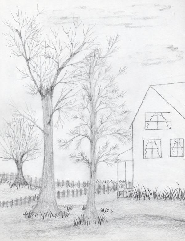 Free stock image of Hand Drawn Trees and House created by rudy liggett