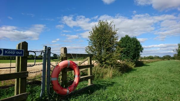 Countryside - Free Stock Photo