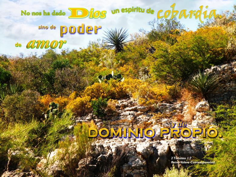 Free stock image of Espiritu de Dios para Nosotros created by DFNatureAwed