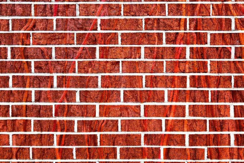 Free stock image of Red Vine Brick Wall created by Nicolas Raymond