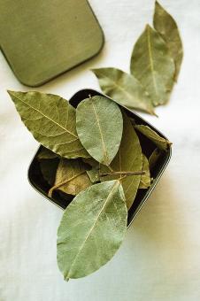 Dry Bay Leaves - Free Stock Photo