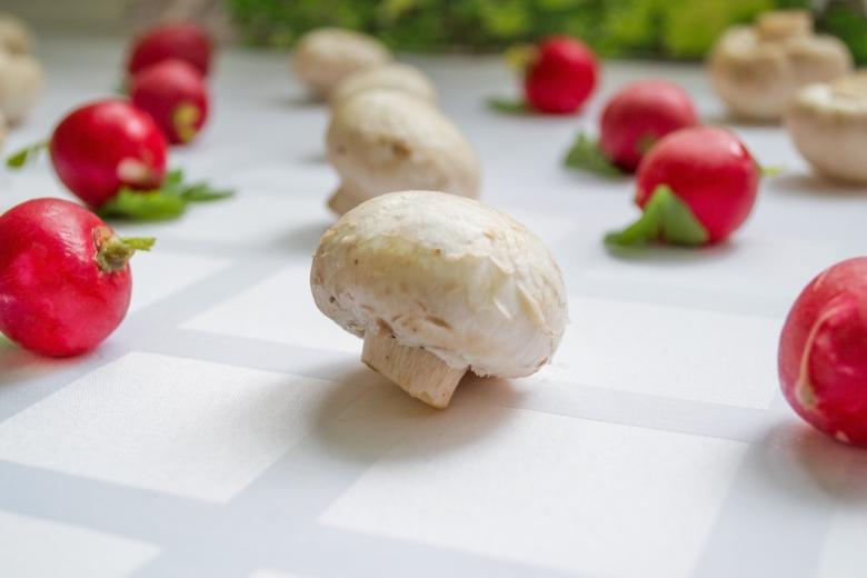Free stock image of Mushrooms and Radishes created by Svetlana