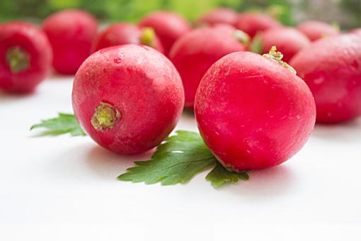 Ripe Radishes - Free Stock Photo