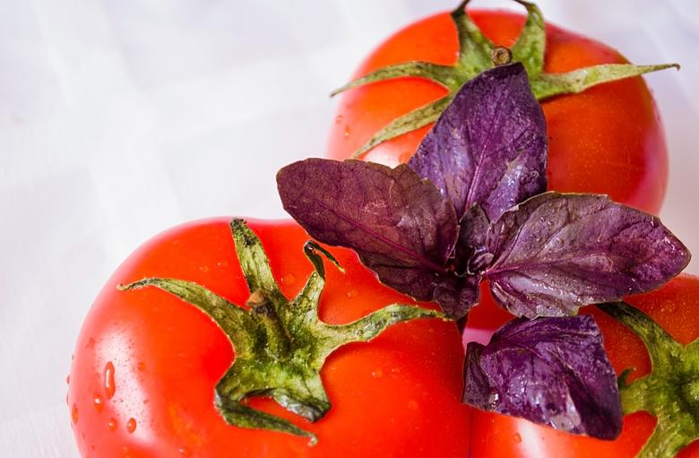 Free stock image of Red Tomatoes and Salad created by Svetlana