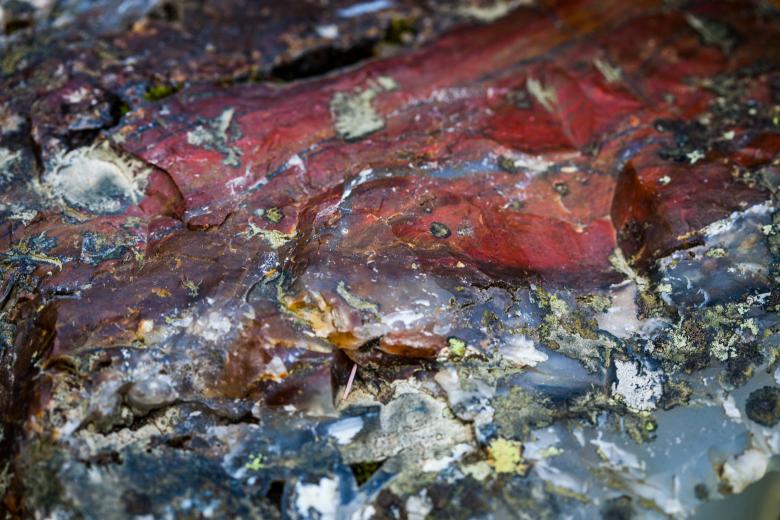 Free stock image of Colorful Jasper Stone background created by Free Texture Friday