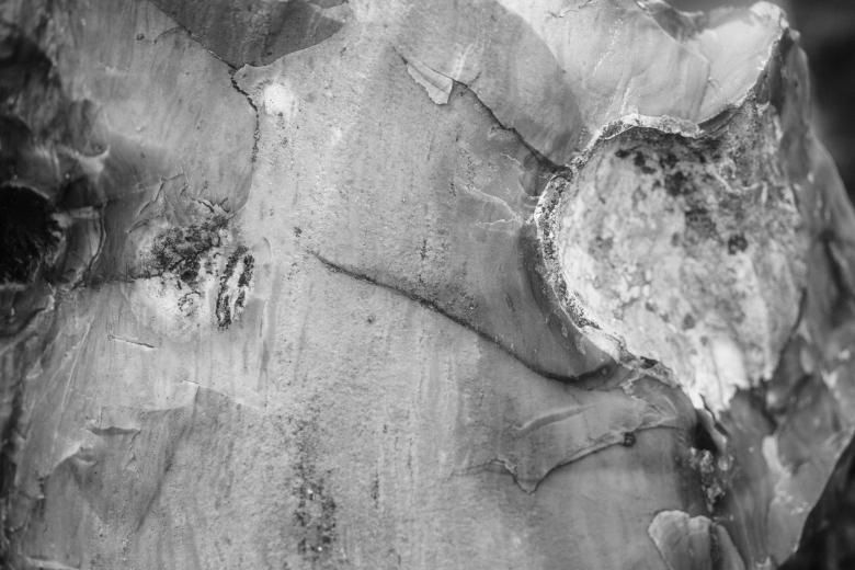 Free stock image of Black and White Rock Texture created by Free Texture Friday