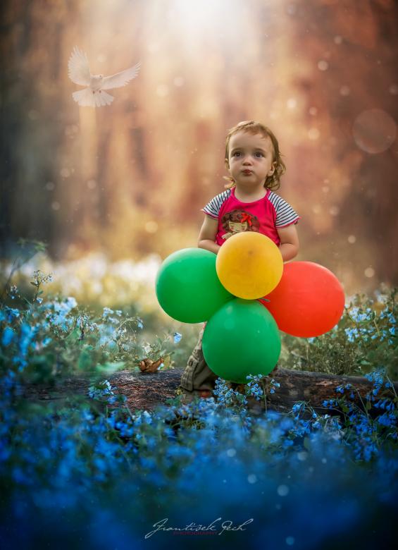 Free stock image of Child with Balloons created by Frantisek Pech