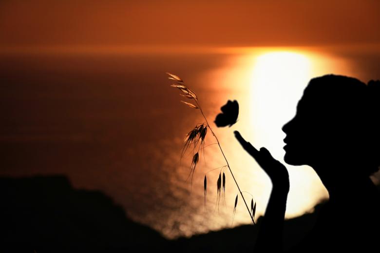 Free stock image of Woman Butterfly Romantic created by mohamed hassan