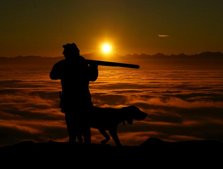 Free stock image of Hunting and Dog Silhouette created by mohamed hassan
