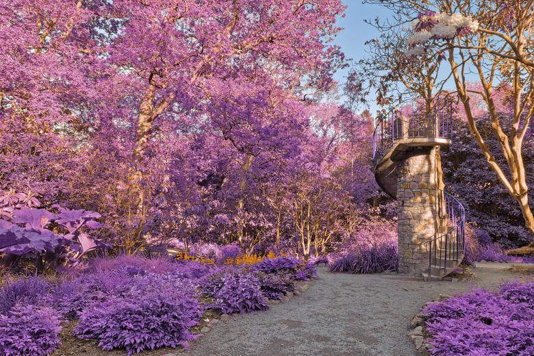 Free stock image of Purple Clyne Tower Path created by Nicolas Raymond