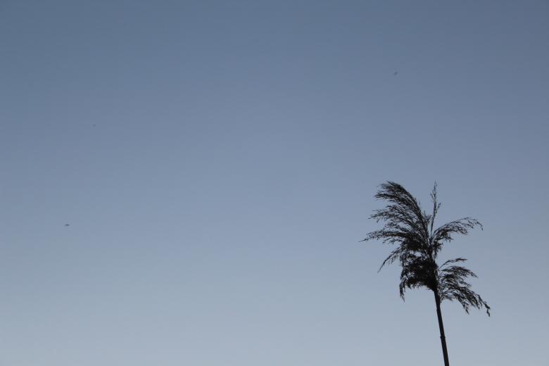 Free stock image of  Sky and Grass created by Nataliia Lypovetska