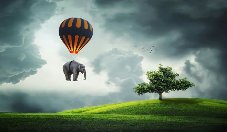 Free stock image of Elephant in Balloon created by mohamed hassan