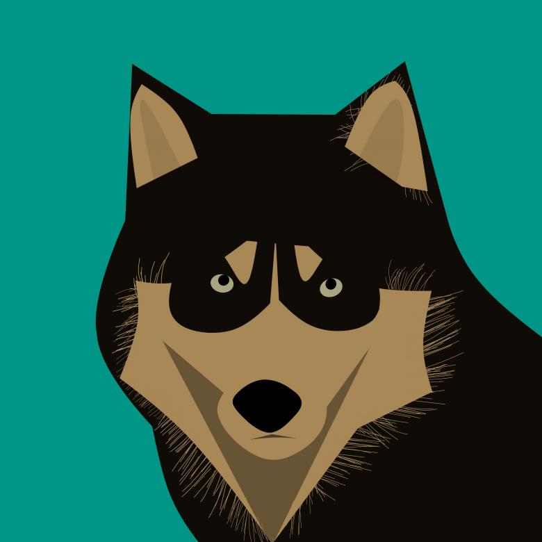 Free stock image of Husky Dog Illustration created by mohamed hassan