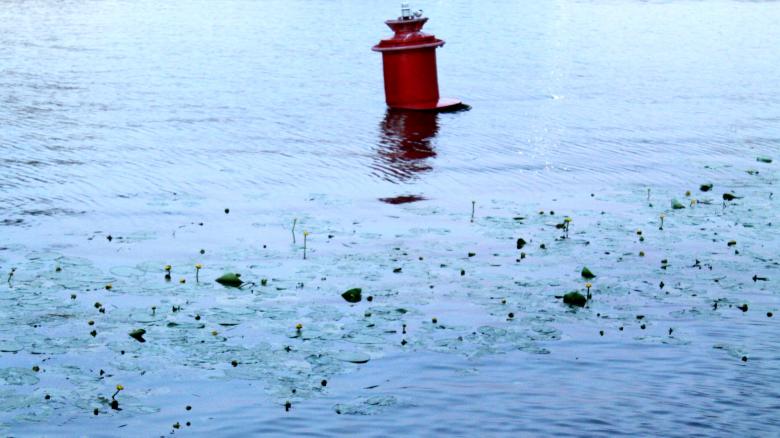 Free stock image of A Buoy is Swinging Afloat created by NomeVizualizzato