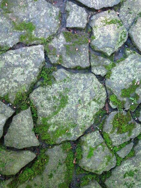 Free stock image of Uneven Stone Path with Moss created by Lindy Thibodaux