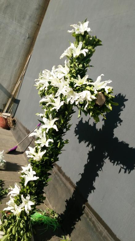 Free stock image of 十字架 Cross created by G xm