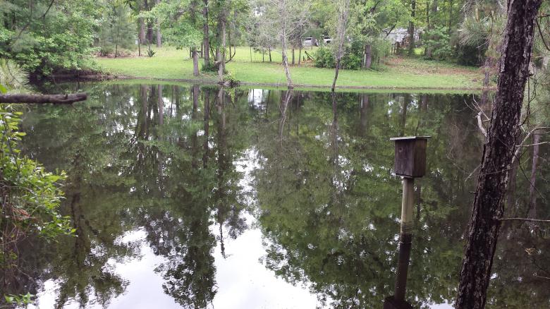 Free stock image of Country Reflections created by LAURA ZIMMERMAN