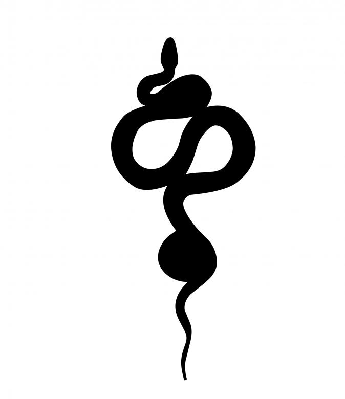 Free stock image of Snake Silhouette created by mohamed hassan