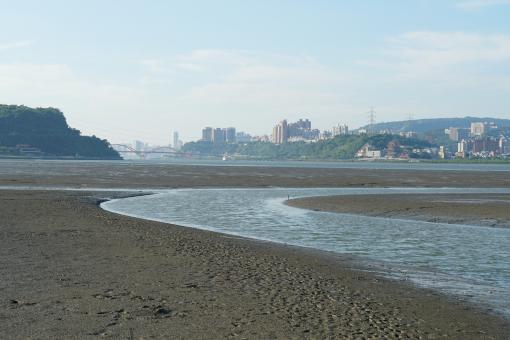 Wetlands of Taichung