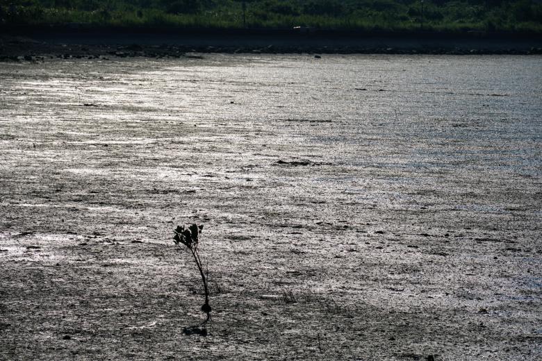 Free stock image of Wetlands created by Weng Bee