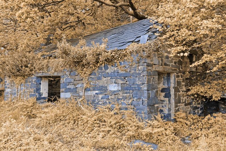 Free stock image of Blueberry Cream Ruins created by Nicolas Raymond