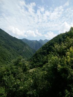 Green Hills, Trees and Clouds - Free Stock Photo