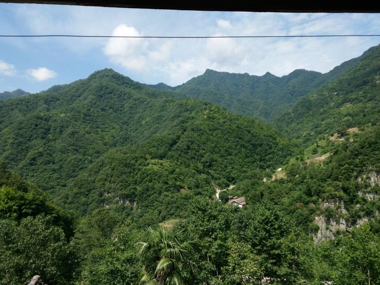 Free stock image of Tree Covered Mountains created by G xm