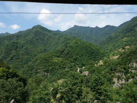 Tree Covered Mountains - Free Stock Photo