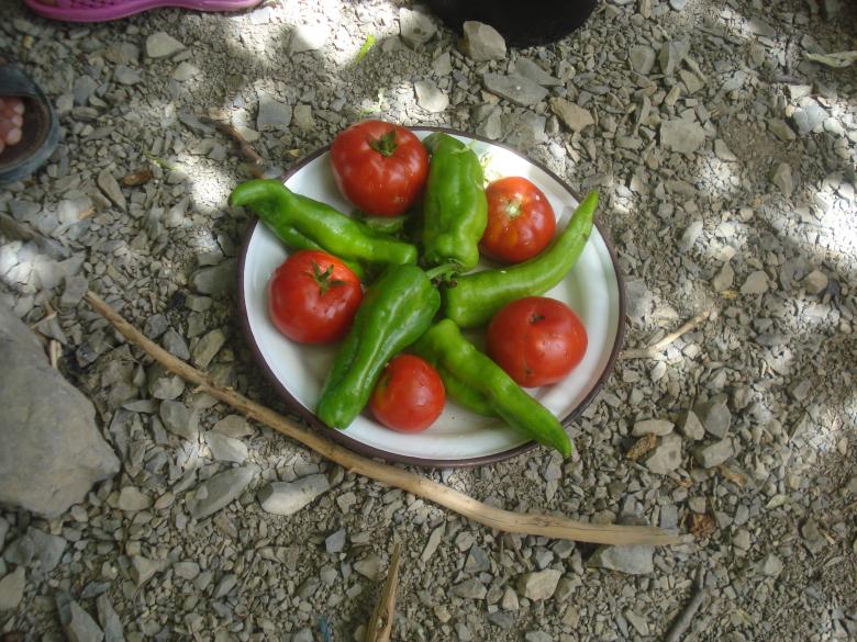 Free stock image of Peppers and Tomatoes created by chakomajaw