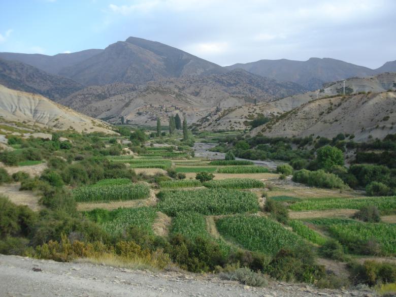 Free stock image of Fields of Beni Bou Illoul created by chakomajaw