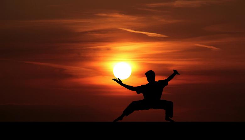 Free stock image of Kung Fu Master at Sunset created by mohamed hassan