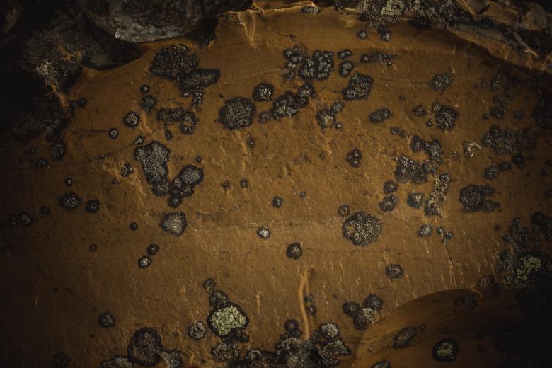 Free stock image of Earthly Rock Background created by Free Texture Friday