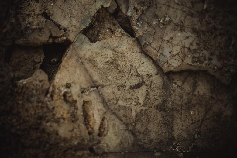 Free stock image of Earthly Stone Background created by Free Texture Friday