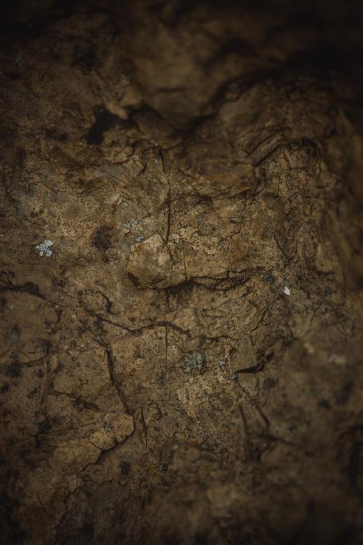 Free stock image of Earthly Rock Texture created by Free Texture Friday