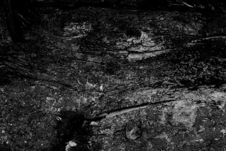 Free stock image of Grunge Black Wood Texture created by Free Texture Friday