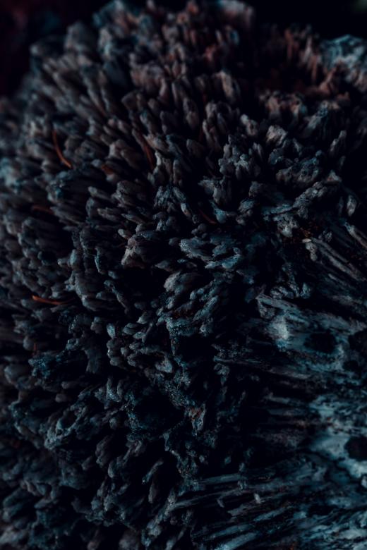 Free stock image of Gritty Alien Rock created by Free Texture Friday
