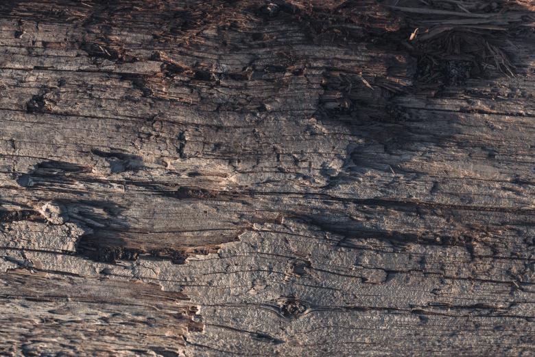 Free stock image of Rotten Wooden Background created by Free Texture Friday