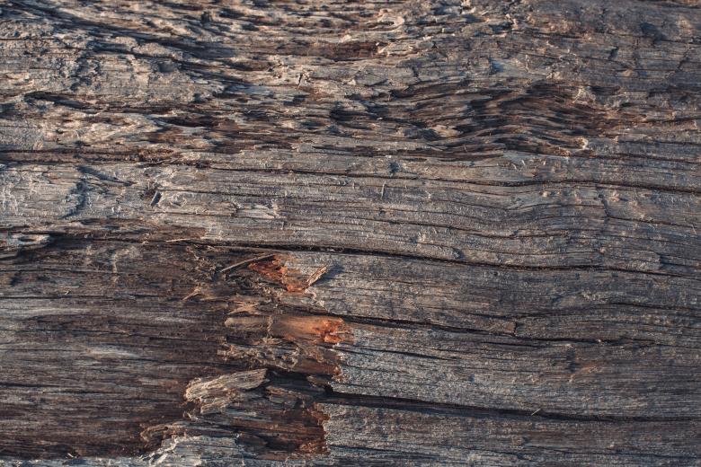 Free stock image of Rotten Wood Board created by Free Texture Friday